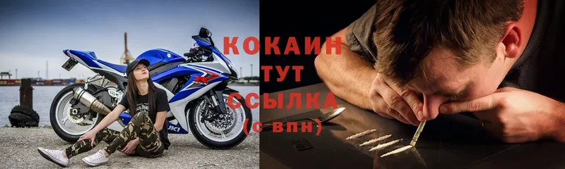 где купить наркоту  Шахунья  Cocaine FishScale 
