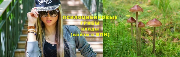 бошки Калининец