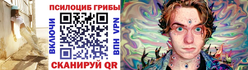 даркнет как зайти  Шахунья  Галлюциногенные грибы прущие грибы 